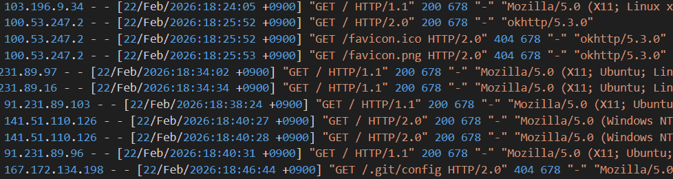 公開直後のアクセスログ